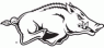 Arkansas logo