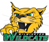 Wilmington University (DE) logo